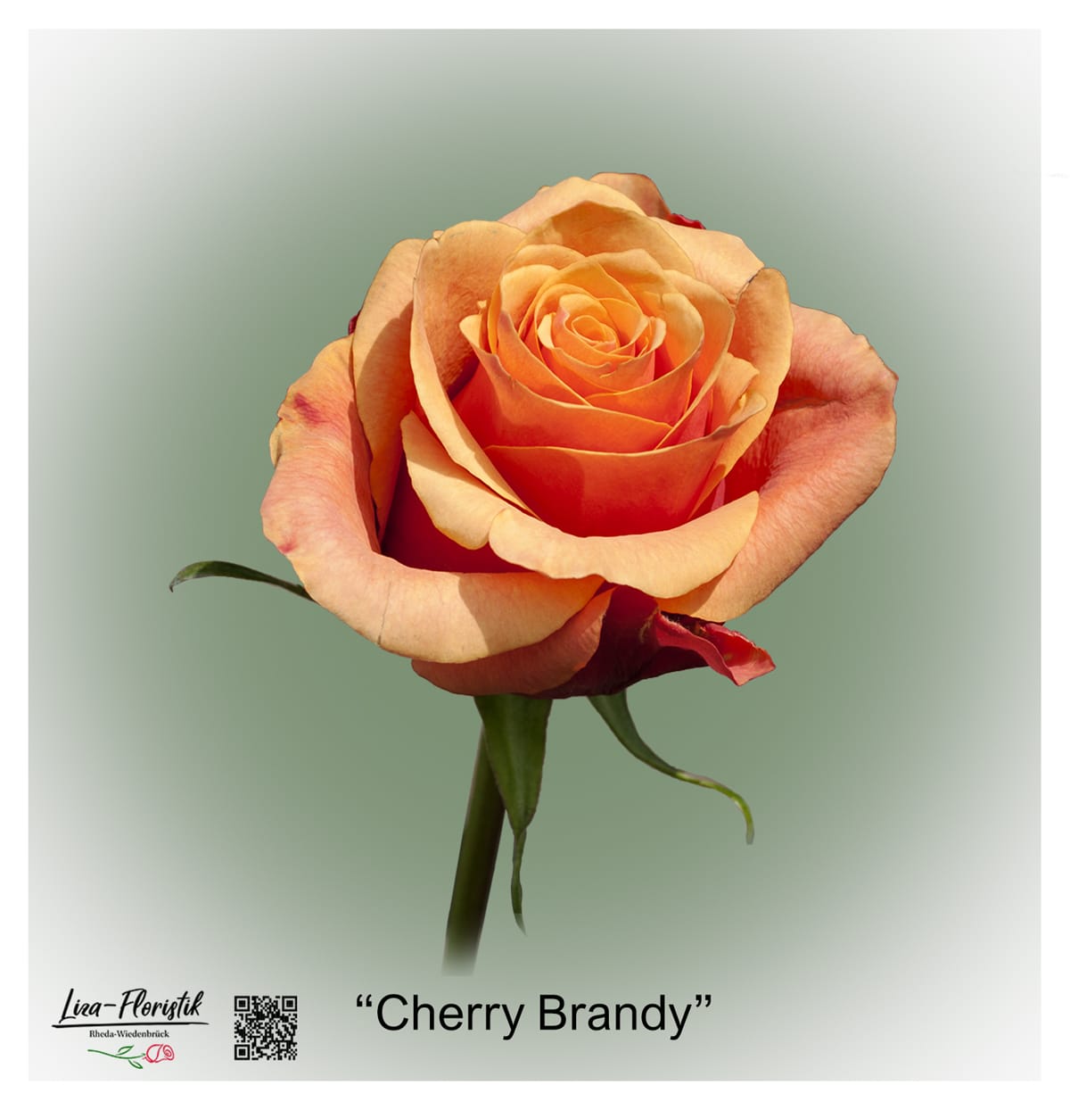 Ecuador Rose Cherry Brandy