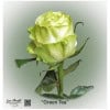 Ecuador Rose Green Tea