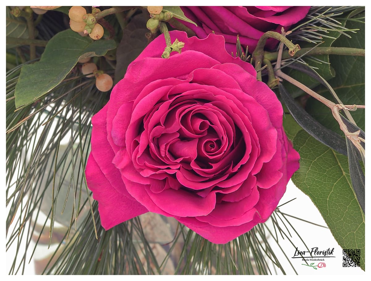 Ecuador Rose im Blumenstrauß mit Weihnachtsstern