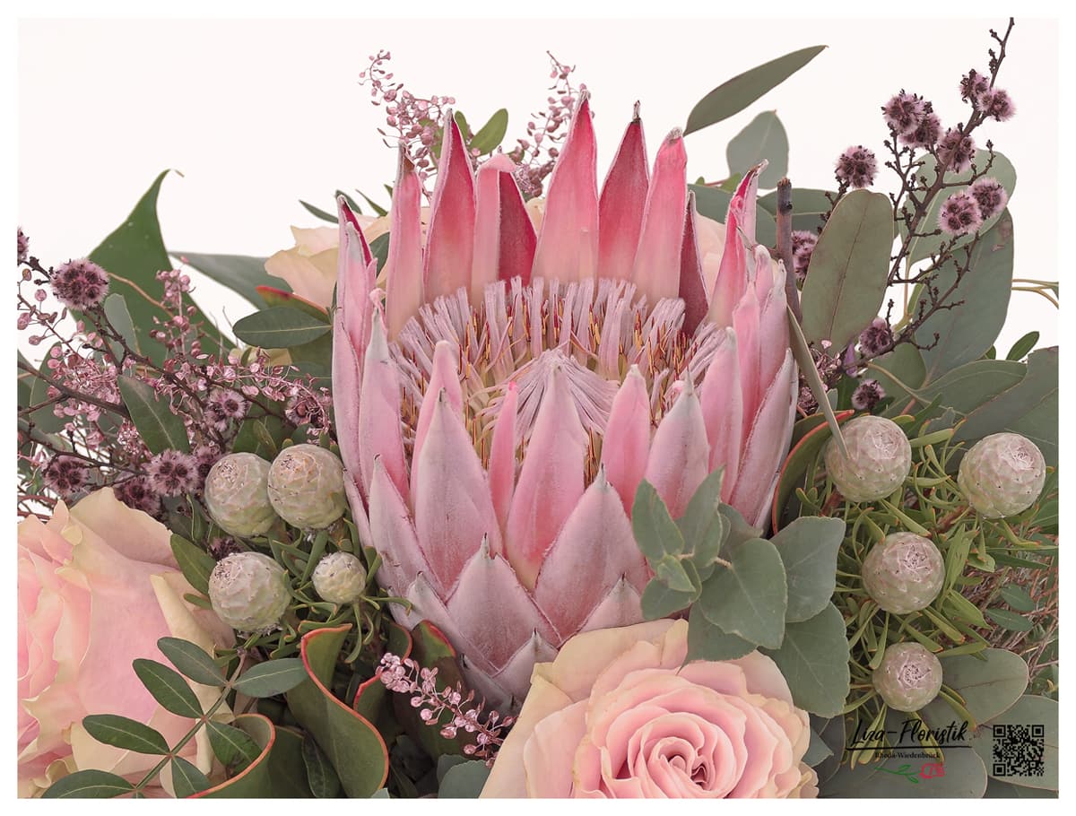 Königsprotea und Ecuador Rosen im Detail