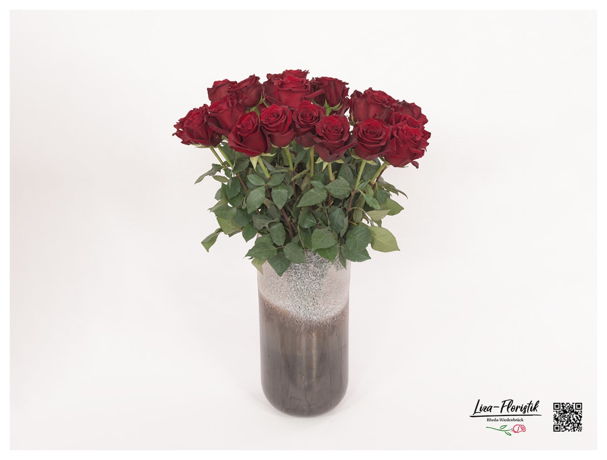 Langstielige rote Rosen in Designvase