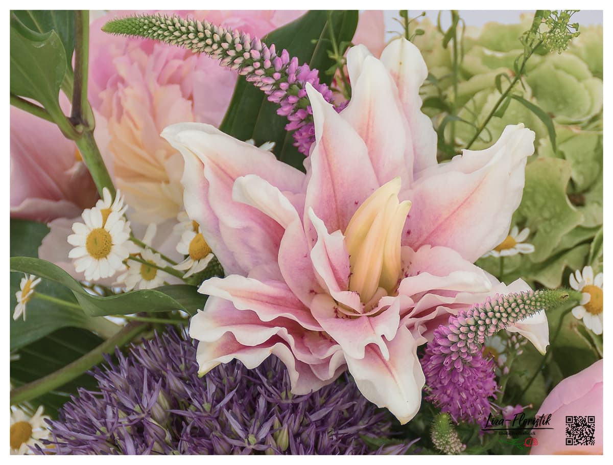 Gefüllte Lilien, Allium und Veronica  - Detail