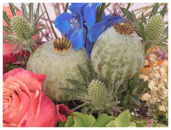 Mohn, Rittersporn und Rosen - Detail