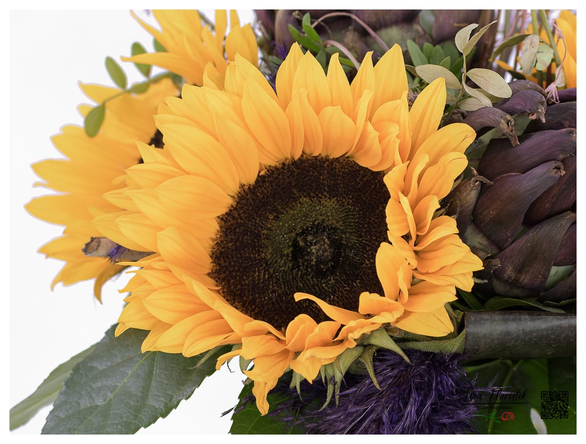 Sonnenblume, Artischocke - Detail