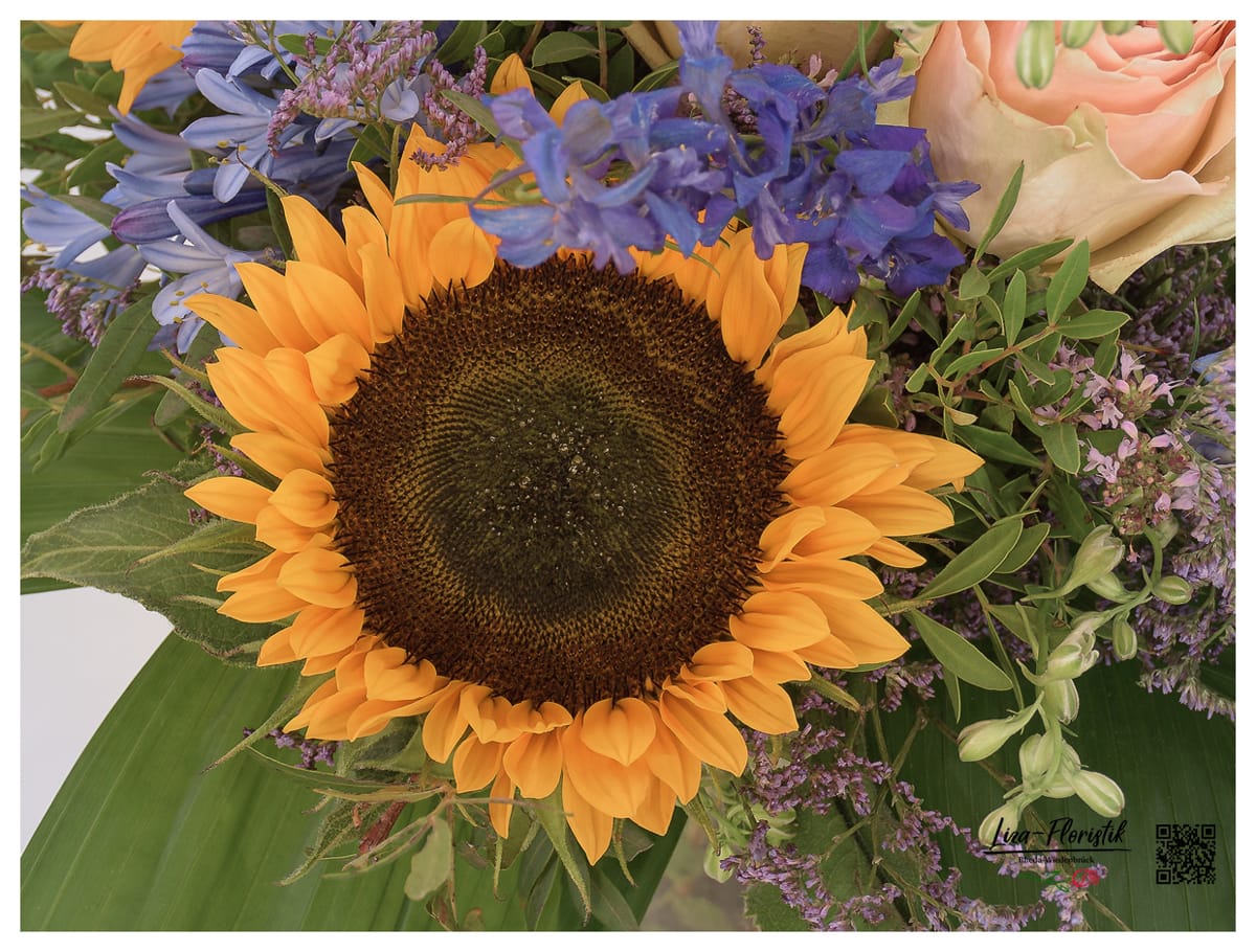 Sonnenblume und Rittersporn - Detail -