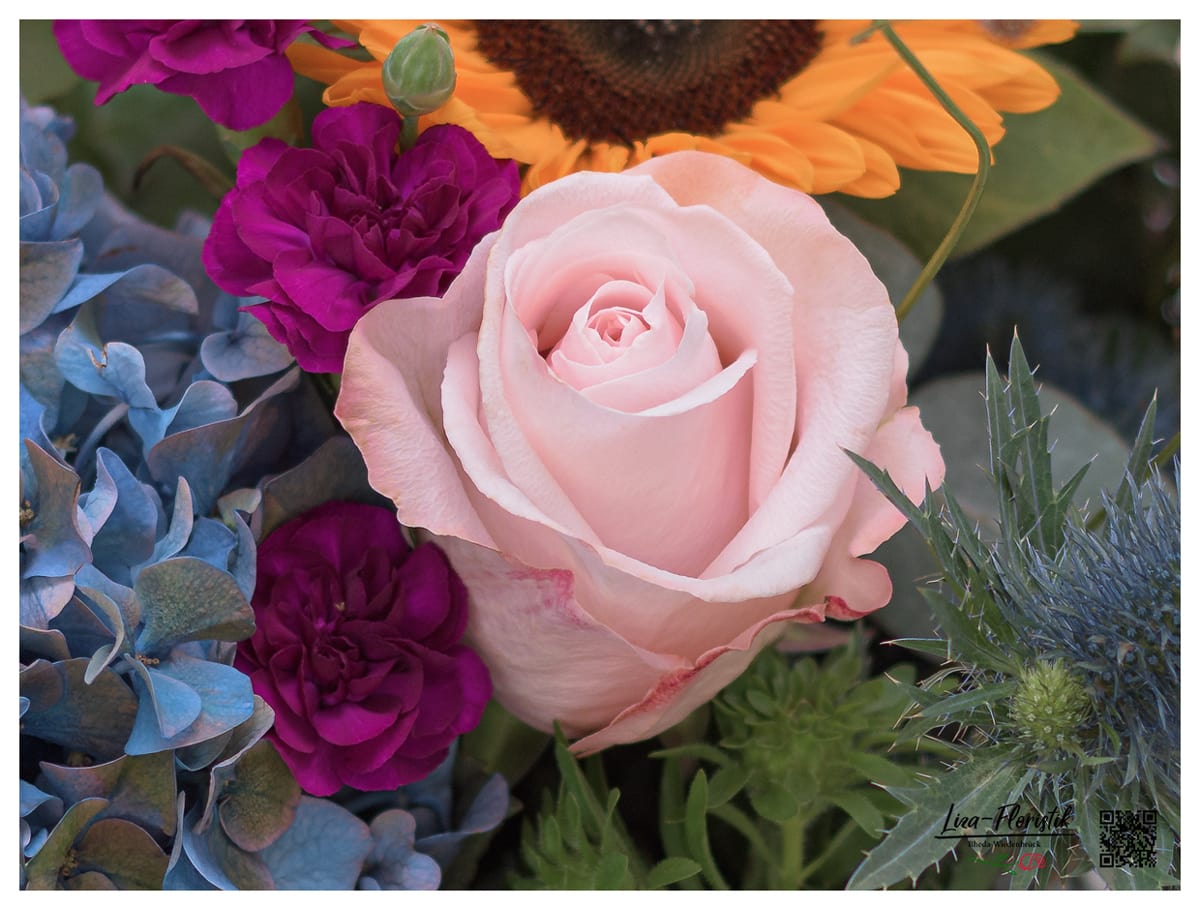 Ecuador Rose Pomerasa im Detail mit Nelken und Hortensie