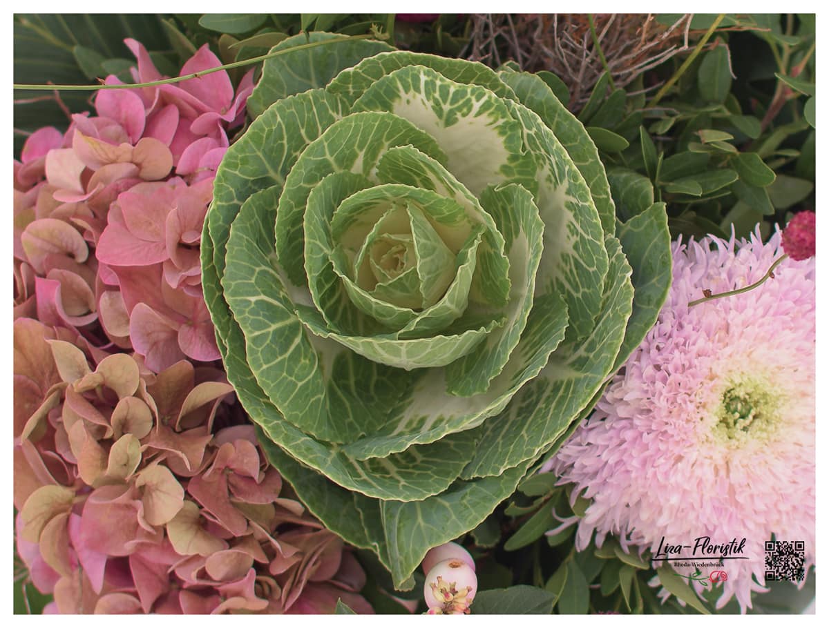 Zierkohl (mit französchicher Hortensie und Chrysantheme) im Detail