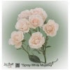 Ecuador Rose Spray White Majolika