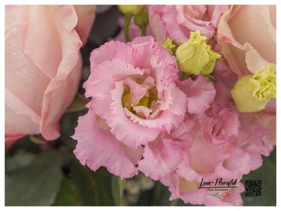 Rosa Lisianthus vor Rosen im Detail