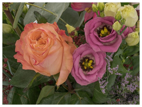 Lisianthus und Rose - Detail im Blumenstrauß