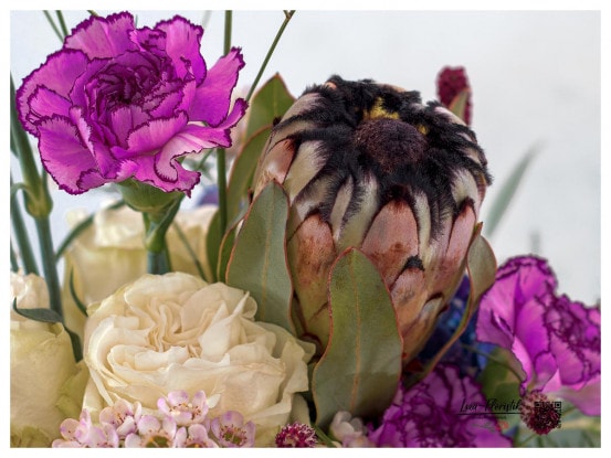Protea, Rosen und Nelken im Detail