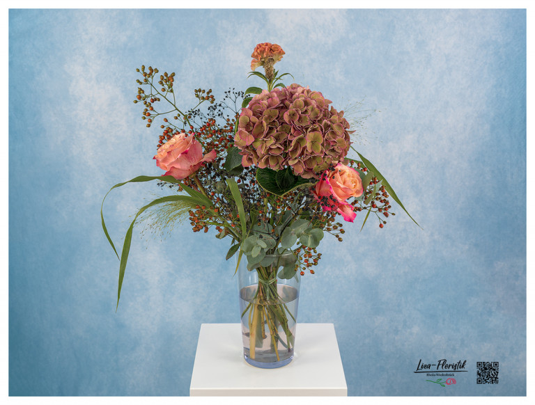 Französische Hortensie, Rosen, Celosia, Hagebutte und Fontaine (Gras)