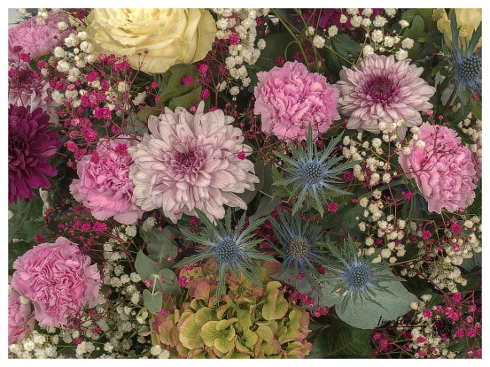Rosen, Hortensien, Schleierkraut, Disteln, Chrysanthemen und Nelken im Detail