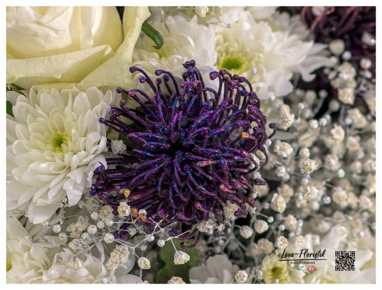Lila Protea und Chrysanthemen im Detail