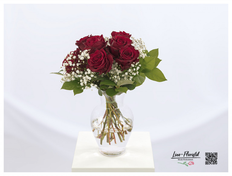 Rote Rosen Explorer und weißes Schleierkraut