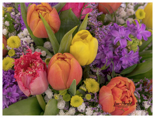 Bunter Frühlingsstrauß mit Tulpen im Detail