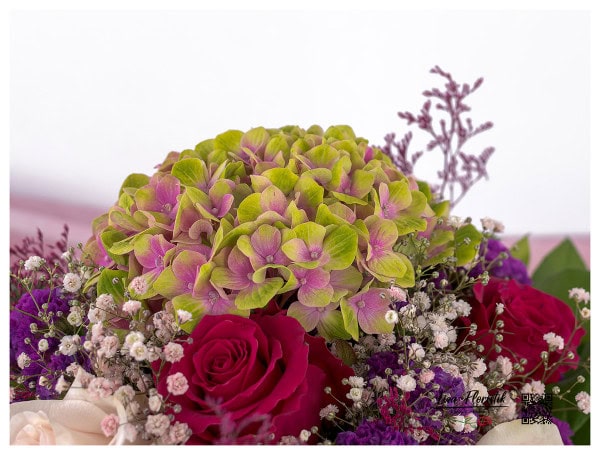 Hortensie, Rosen und Schleierkraut im Detail