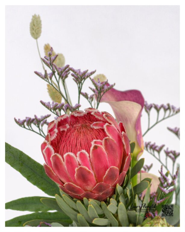 Im Detail - Protea