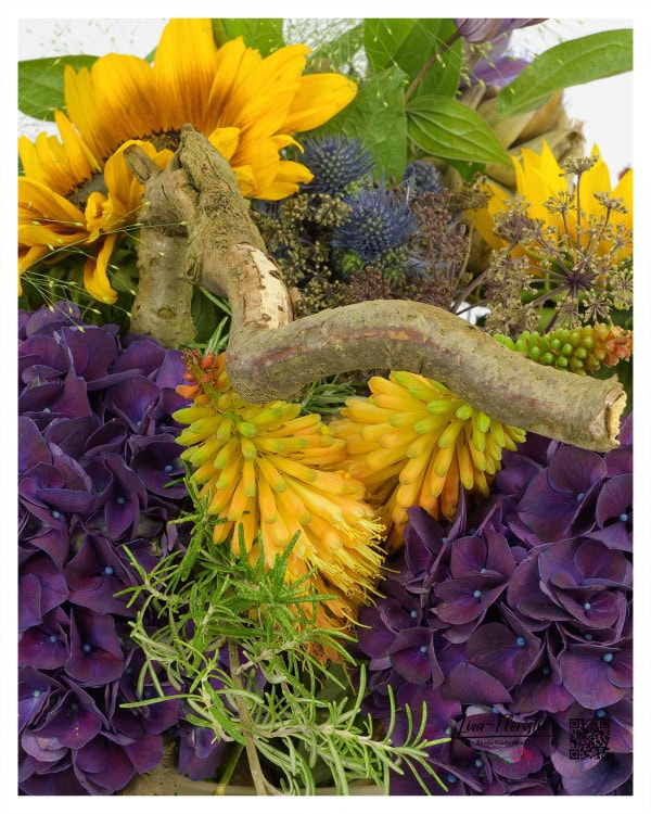 Fackellilien, Hortensien und Sonnenblumen im Detail
