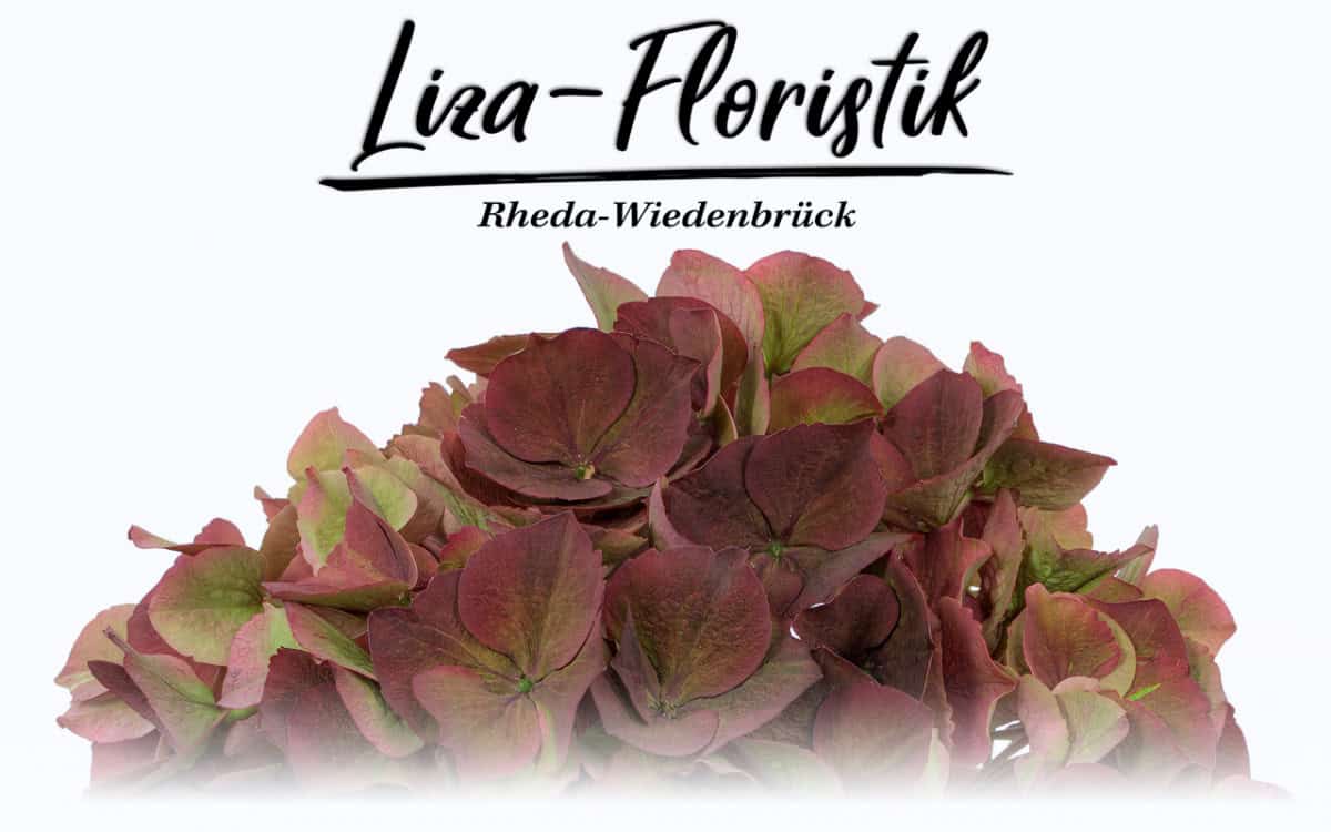 Online Blumenladen: Kostenlose Lieferung in Gütersloh & Rheda-Wiedenbrück