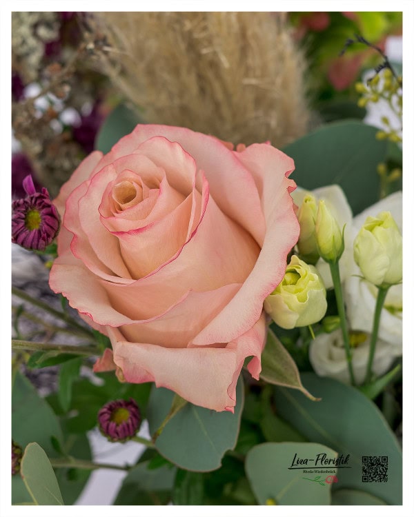 Detailansicht einer Ecuador Rose vor Lisianthus und Pampasgras