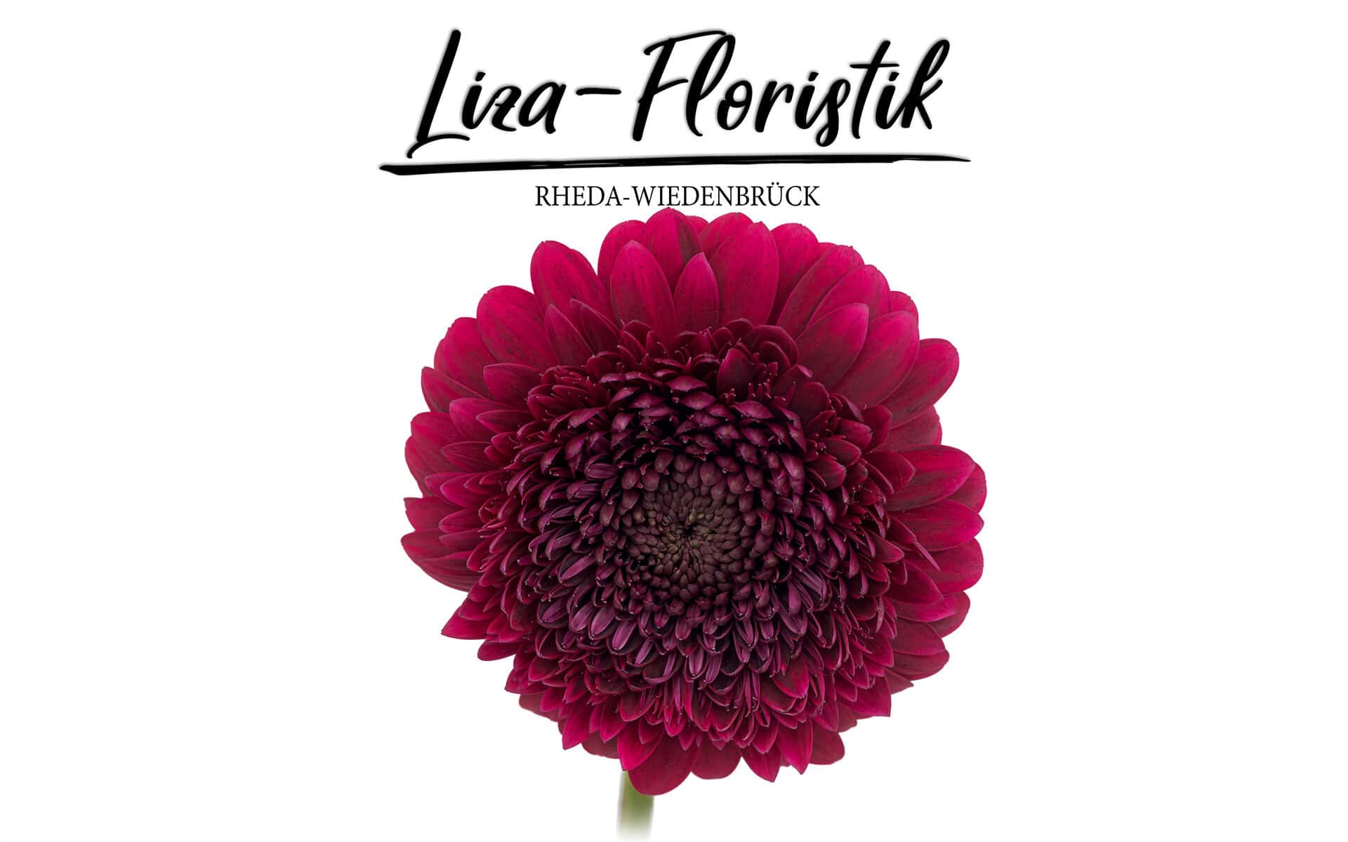 Dein Blumenstrauß Liza-Floristik Rheda-Wiedenbrück