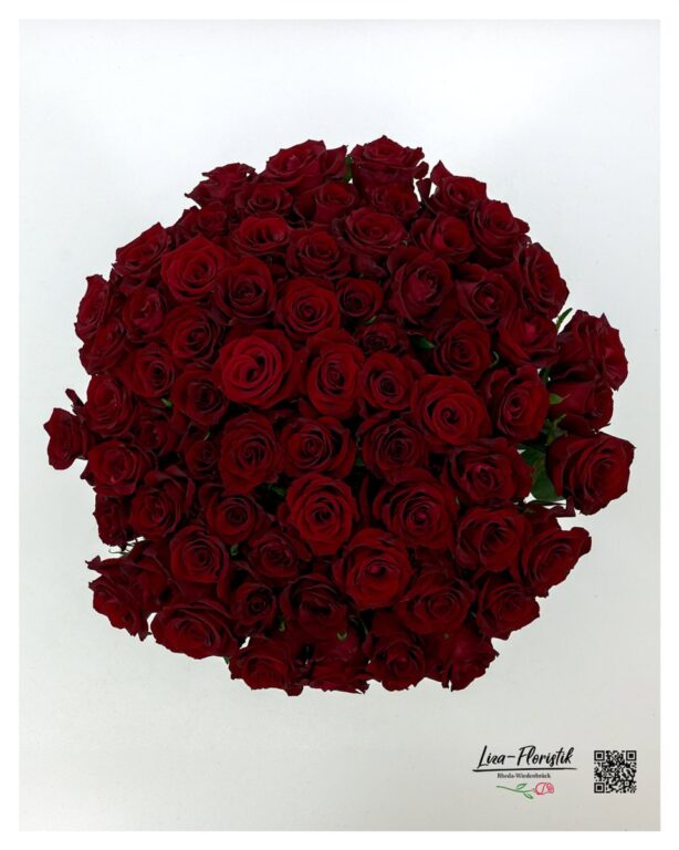 Draufsicht auf 70 rote Rosen, Blüte an Blüte zu einer runden Kuppel gebunden