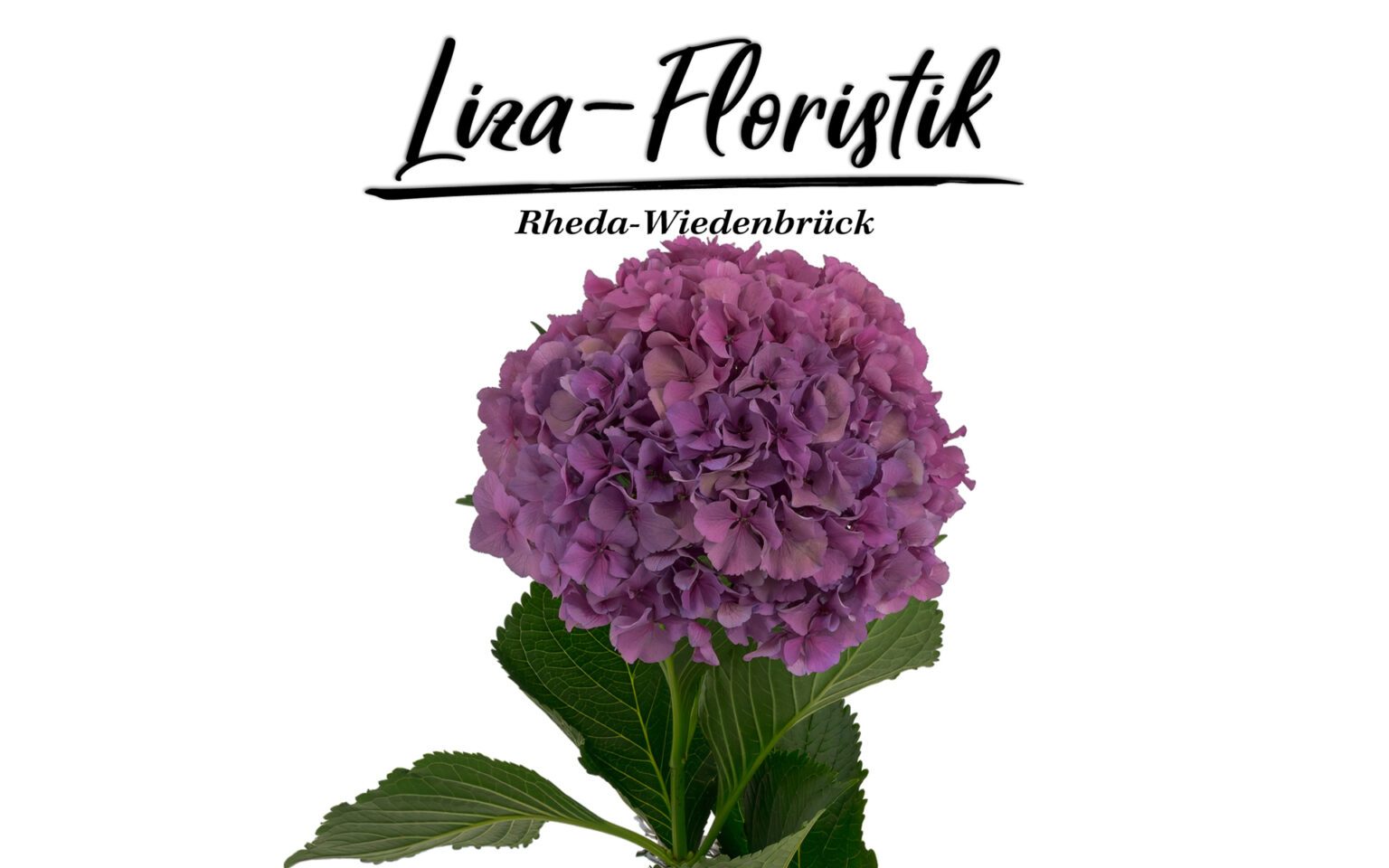 Dein Blumenstrauß Liza-Floristik Rheda-Wiedenbrück