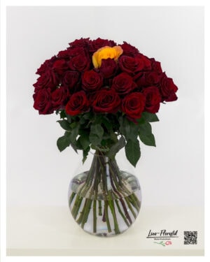 Dunkelrote Rosen mit einer einzelnen gelben Rose in der Mitte